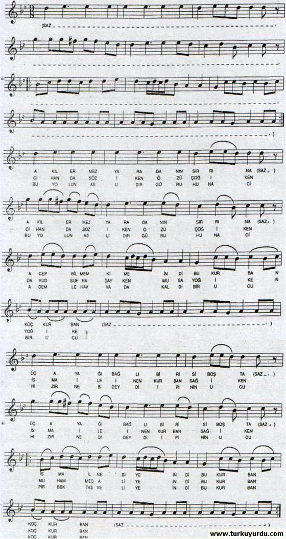 Ak�l Ermez Yaradan�n S�rr�na