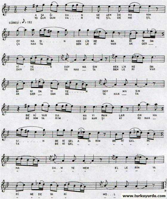 A�a��dan Gelen Han�m (Erkek)