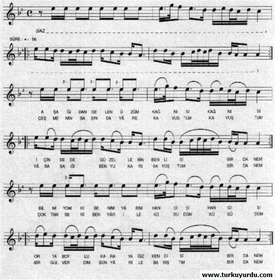 A�a��dan Gelen �z�m Ka�n�s�