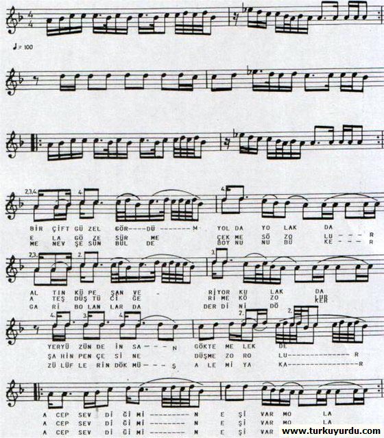 Bir �ift G�zel G�rd�m