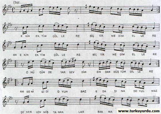 Ekin Ektim ��llere 2