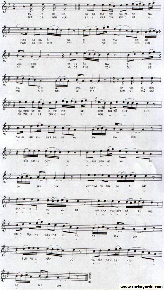 Evlerine Varamad�m Gazelden