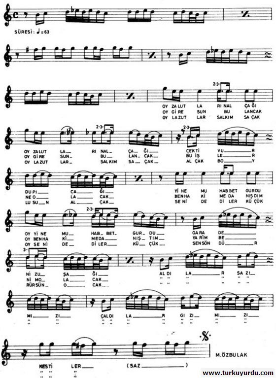 Oy Zalutlar�n Al�a��