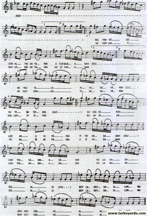 Salk�m S���d�n Alt�nda