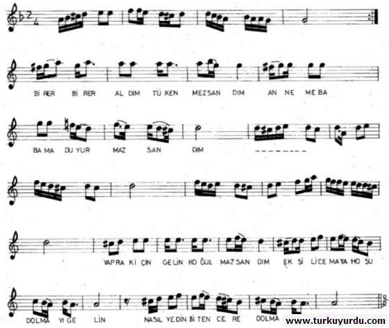 Yaprak Dolmas� (Birer Birer Ald�m)